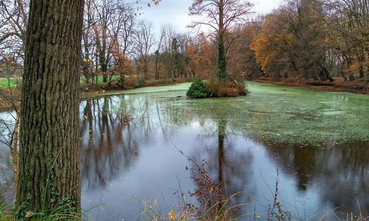 Kloibers Im Schloss Haag